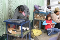 Huaraz cuy vendor