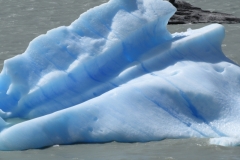 Lago Grey Glacier Iceberg