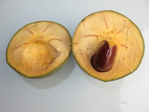 Lucuma Color The Hidden Fruit of Lucuma